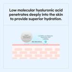 Bamboo Hyaluronic Moisture Cream (70ml)